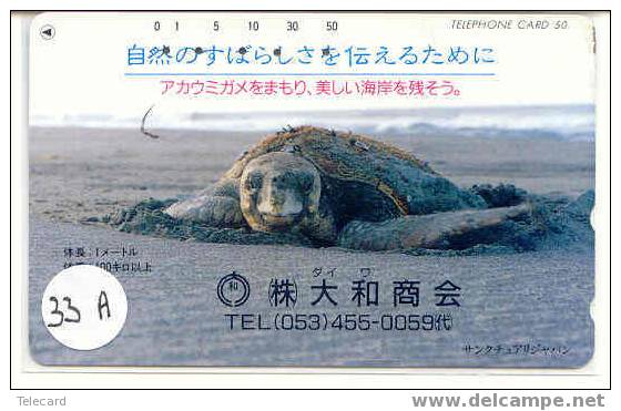 Sea Turtle – Tortoise – Tortuga Marina – Schildkroete – Tartaruga – Tortue – Turtle (33a) - Schildpadden