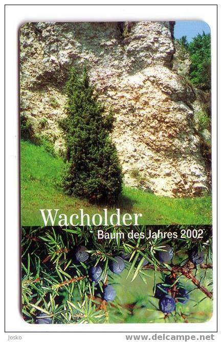 Germany - Allemagne - Landscape - Paysage - Wild Fruits - WACHOLDER  - PD 12.02 - P & PD-Series: Schalterkarten Der Dt. Telekom