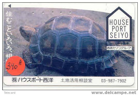 Sea Turtle – Tortoise – Tortuga Marina – Schildkroete – Tartaruga – Tortue – Turtle (340a) - Schildpadden