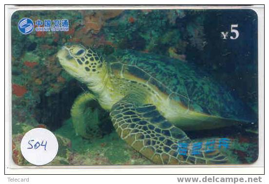 Turtle – Tortoise – Tortuga Marina – Schildkroete – Tartaruga – Tortue – Schildpad (504) - Schildpadden