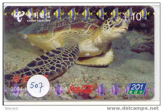 Turtle – Tortoise – Tortuga Marina – Schildkroete – Tartaruga – Tortue – Schildpad (507) - Turtles