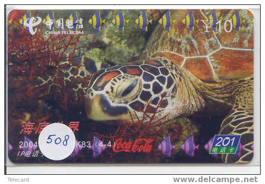 Turtle – Tortoise – Tortuga Marina – Schildkroete – Tartaruga – Tortue – Schildpad (508) - Turtles