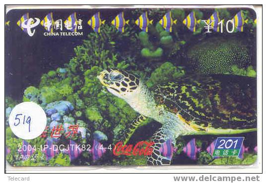 Turtle – Tortoise – Tortuga Marina – Schildkroete – Tartaruga – Tortue – Schildpad (519) - Schildpadden