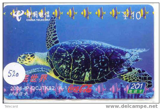 Turtle – Tortoise – Tortuga Marina – Schildkroete – Tartaruga – Tortue – Schildpad (520) - Turtles