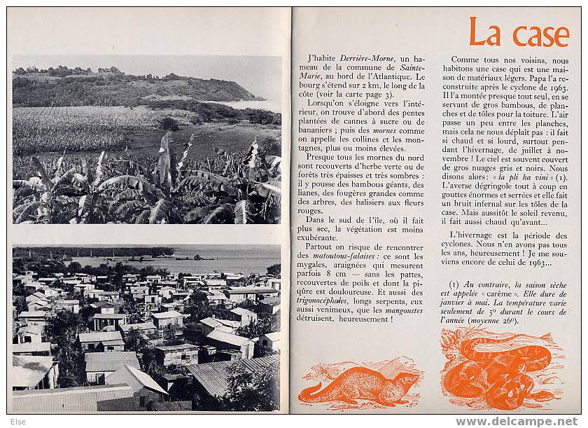 LOULOU DE LA MARTINIQUE  -  BT N° 662 MARS 1968   -  40 PAGES -  NOMBREUSES PHOTOS - Outre-Mer