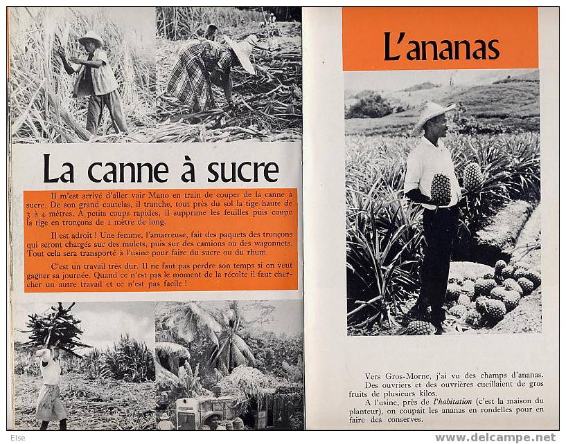 LOULOU DE LA MARTINIQUE  -  BT N° 662 MARS 1968   -  40 PAGES -  NOMBREUSES PHOTOS - Outre-Mer