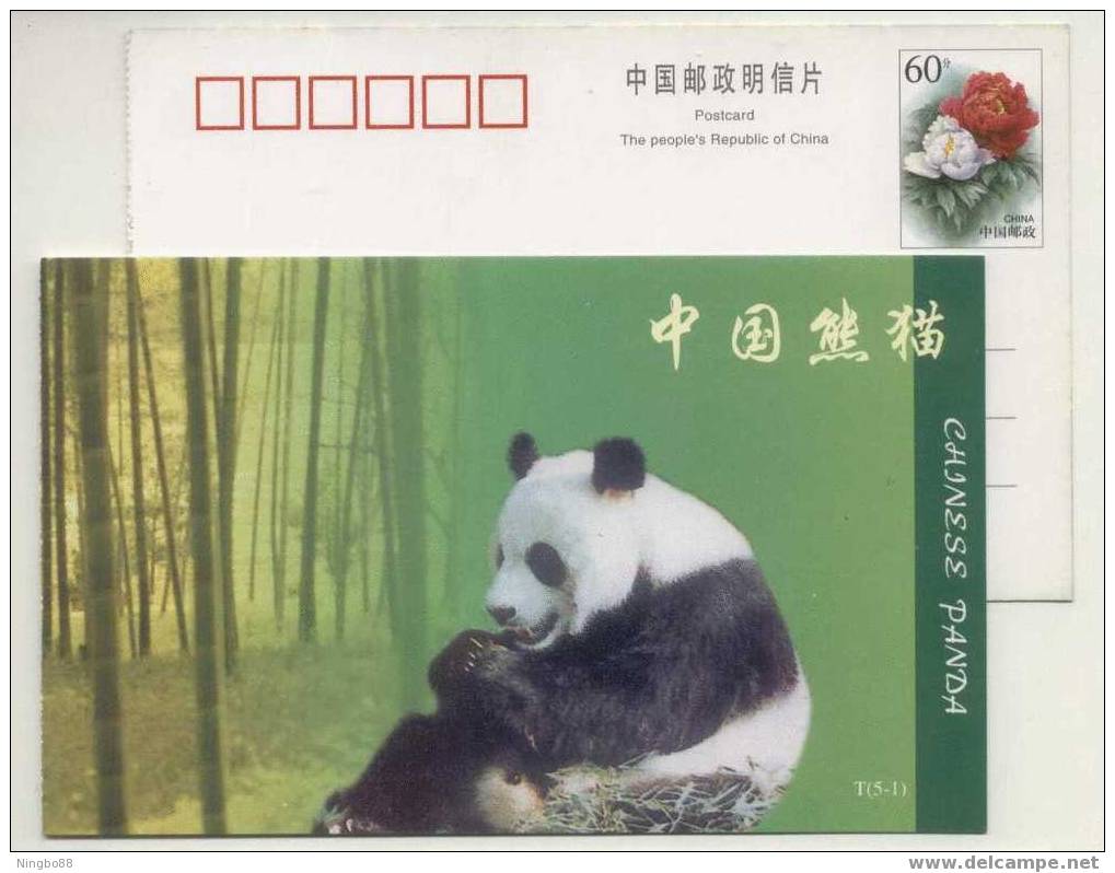 Giant Panda,China 1998 The 22th UPU Congress Advertising Pre-stamped Card - U.P.U.