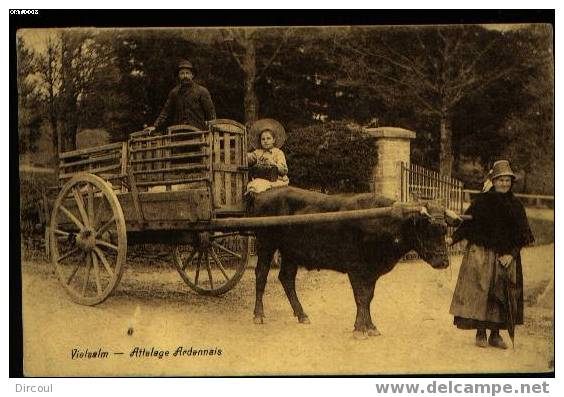 3761 - Vielsalm Attelage Ardennais " Transport De Cochons " - Vielsalm