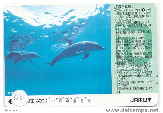 DELPHIN Dolfijn DOLPHIN Dauphin Auf Metro Karte (68) - Delfines