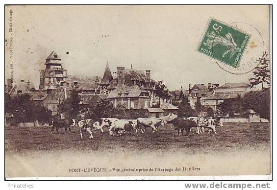 PONT  L EVEQUE  HERBAGES DES HUNIERES 1910 - Pont-l'Evèque