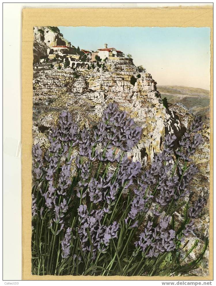 06 - Gourdon - La Lavande - CPSM Couleur Non Voyagé - Ed Giletta N° 2bis - Gourdon