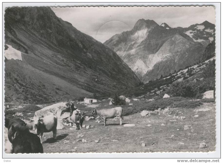 LE PAYS D'OISANS. VIZILLE. - Vizille