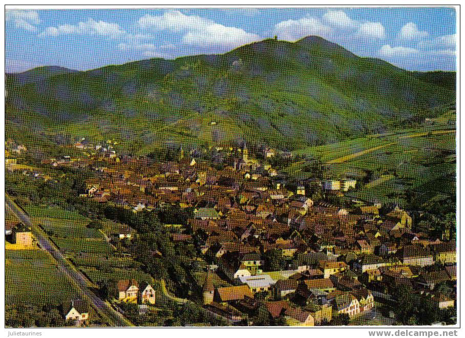 583.panorama Sur Ribeauville Et Les Voges état Neuf - Ribeauvillé