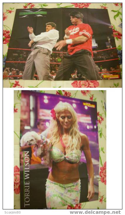 WWE Poster D-Generation X Torrie Wilson WRESTLING - Habillement, Souvenirs & Autres