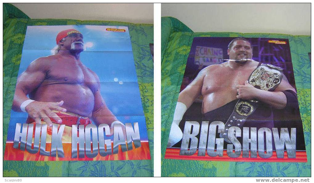 WWE Poster Hulk Hogan Big Show WRESTLING - Kleding, Souvenirs & Andere