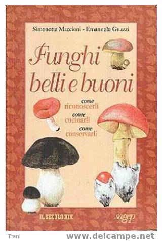 FUNGHI BELLI E BUONI - Casa Y Cocina