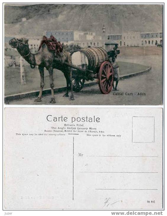 Yemen: Aden, Camel Cart. Old And Vintage Postcard - Jemen