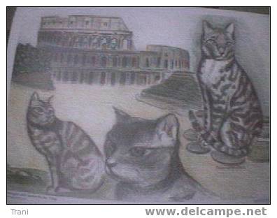 I GATTI DI MARIA GRAZIA - POSTER (1) - Dessins