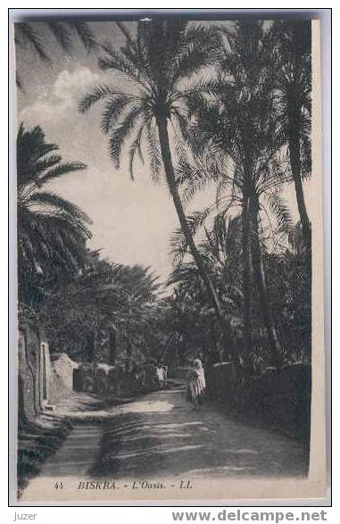 Algeria, Biskra: Oasis. Old And Vintage Postcard (2) - Biskra