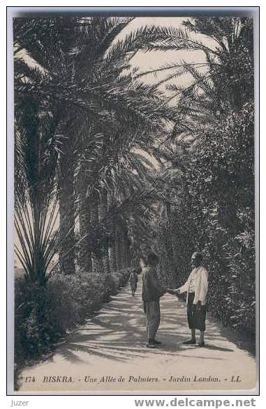 Algeria, Biskra: Garden. Old And Vintage Postcard (2) - Biskra