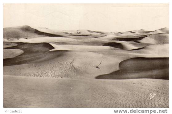 Biskra La Mer De Sable Oblitérée Le 1 Juin 1962 Batna Marianne De Décaris République Française - Batna