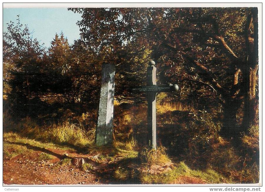 Hautes Fagnes La Croix De Fiances (b887) - Jalhay