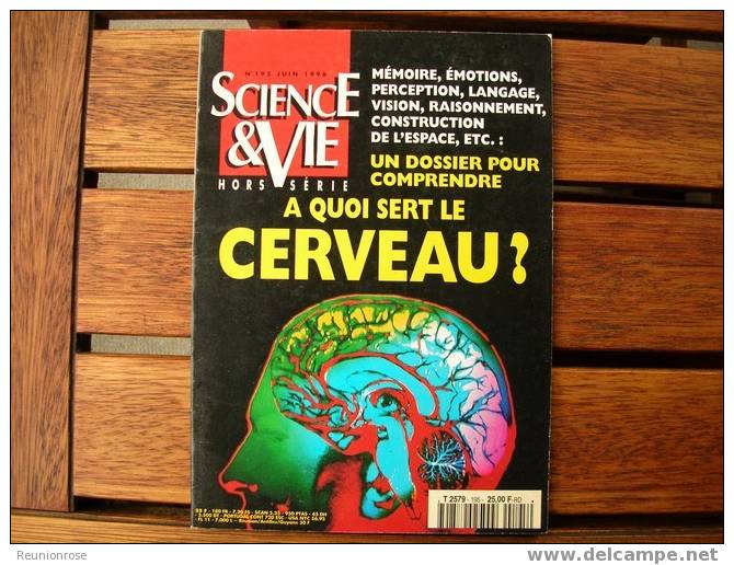 Sciences & Vie Hors Série N°195 Du 06/1996 - A Quoi Sert Le Cerveau. - Science