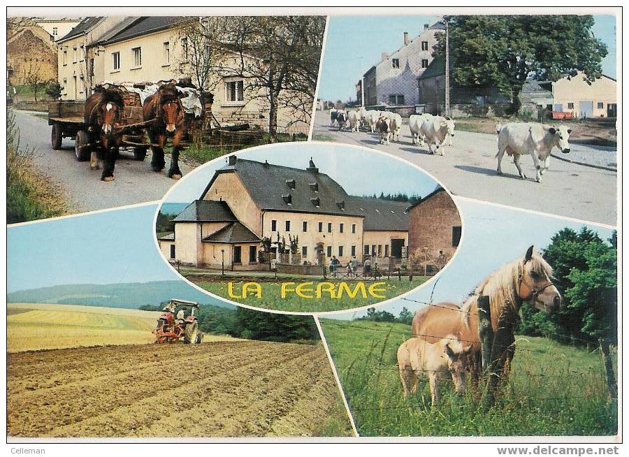 La Ferme (b894) - Farms