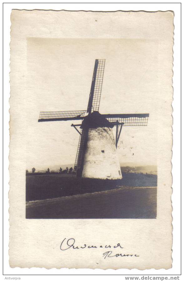 Ronse De Molen Fotokaart 1926  (zie Scan Voor En Achterzijde) - Ronse