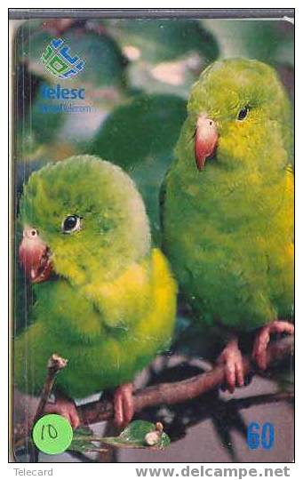 PERROQUET Parrot PAPAGEI Papagaai Telecarte (10) - Perroquets