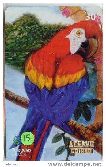 PERROQUET Parrot PAPAGEI Papagaai Telecarte (15) - Papageien