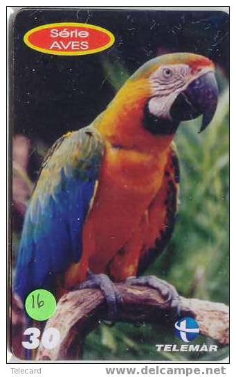 PERROQUET Parrot PAPAGEI Papagaai Telecarte (16) - Pappagalli