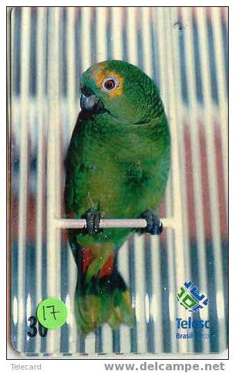 PERROQUET Parrot PAPAGEI Papagaai Telecarte (17) - Pappagalli