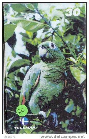 PERROQUET Parrot PAPAGEI Papagaai Telecarte (20) - Loros