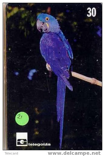 PERROQUET Parrot PAPAGEI Papagaai Telecarte (21) - Perroquets