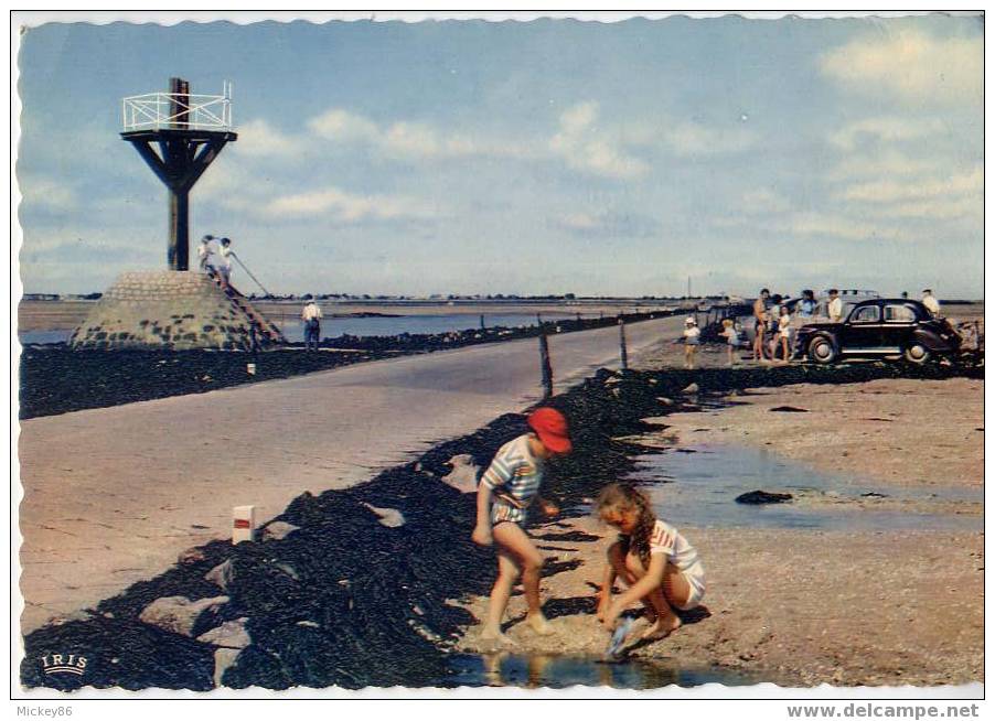 Noirmoutiers--datée 1964--Le GOIS--Balise Au Départ De Beauvoir(animée,enfants,voiture),csm N°8 éd Théojac..th - Noirmoutier