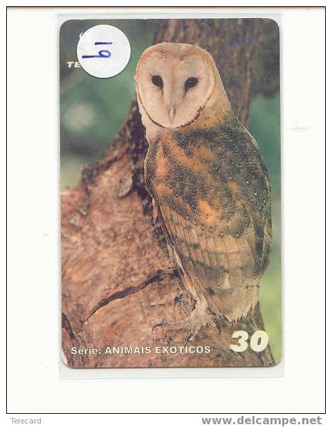 HIBOU Owl EULE Uil  Telecarte (19) - Aigles & Rapaces Diurnes