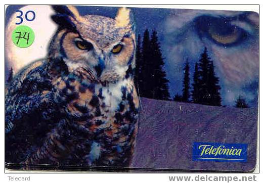 HIBOU Owl EULE Uil  Telecarte (74) - Águilas & Aves De Presa