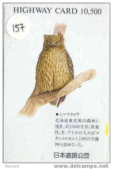 HIBOU EULE OWL UIL BUHO GUFO Carte (157) - Águilas & Aves De Presa