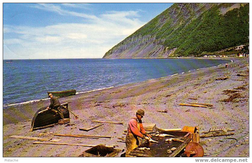 Gaspé Nord - Québec - Pêcheurs Mont St-Pierre Fishing - Gaspé