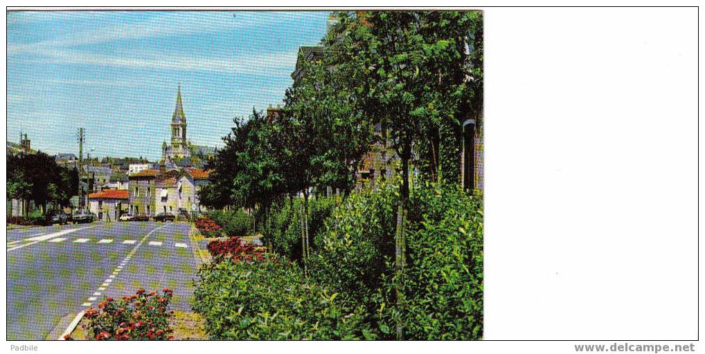 Carte Postale Animée De Chemille - La Rue Nationale - Chemille