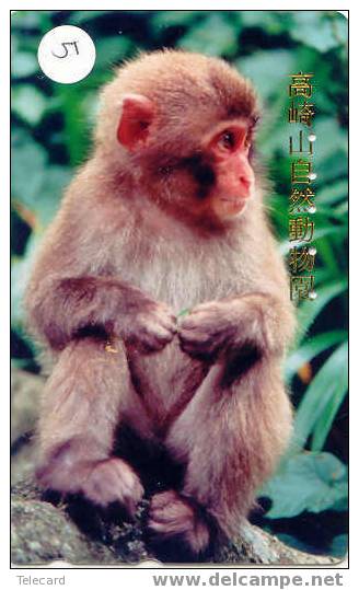 SINGE AFFE Monkey AAP Telecarte (5) - Jungle