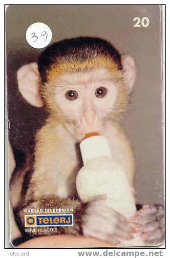 SINGE AFFE Monkey AAP Telecarte (39) - Jungle