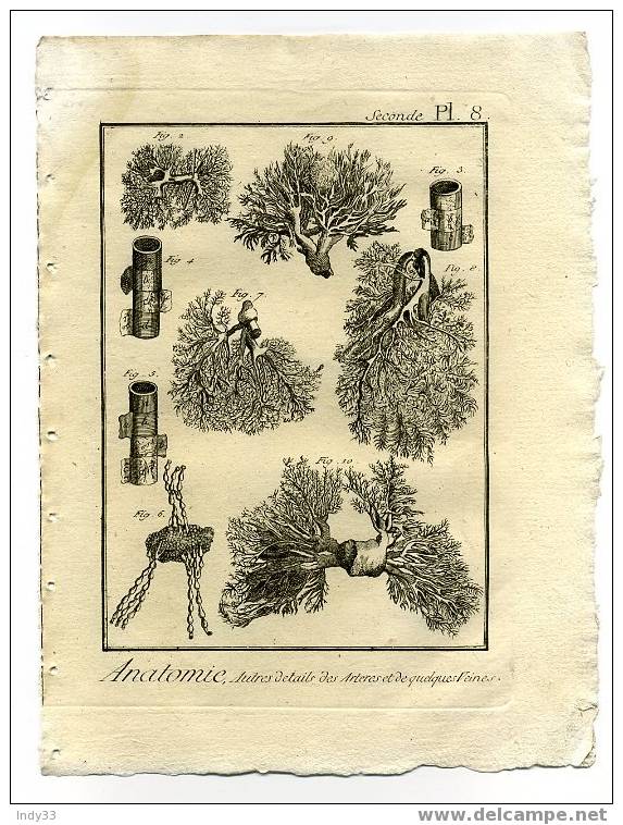 - "ANATOMIE, SECONDE PL. 8. Autres Détails Des Artères Et De Quelques Veines."EAU FORTE DU XVIIIe S. - Medisch En Tandheelkundig Materiaal