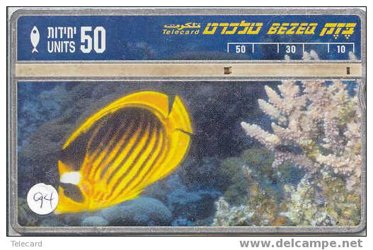 VIS  POISSONS FISCHE FISH Op Telefoonkaart (94) - Peces