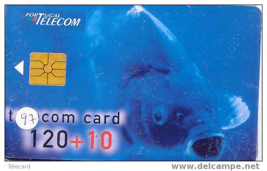 VIS  POISSONS FISCHE FISH Op Telefoonkaart (97) - Peces