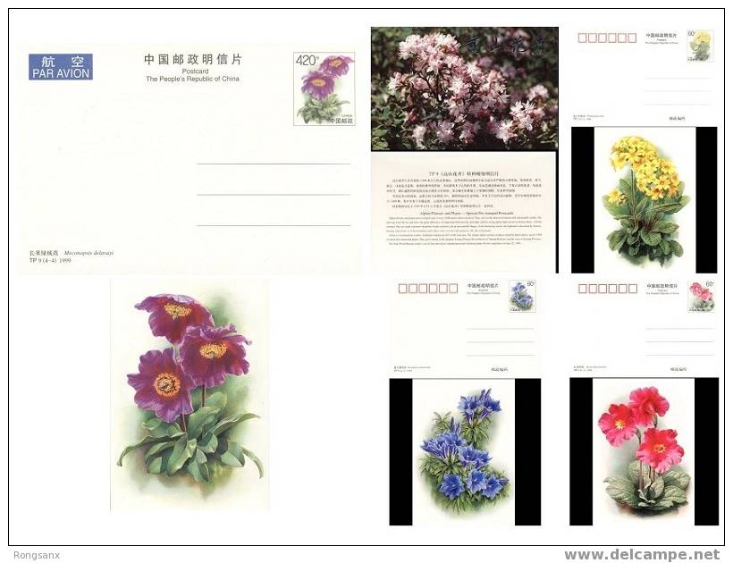 CHINA TP-09 ALPINE FLOWER & PLANT P-CARD 4V 1999 - Postkaarten