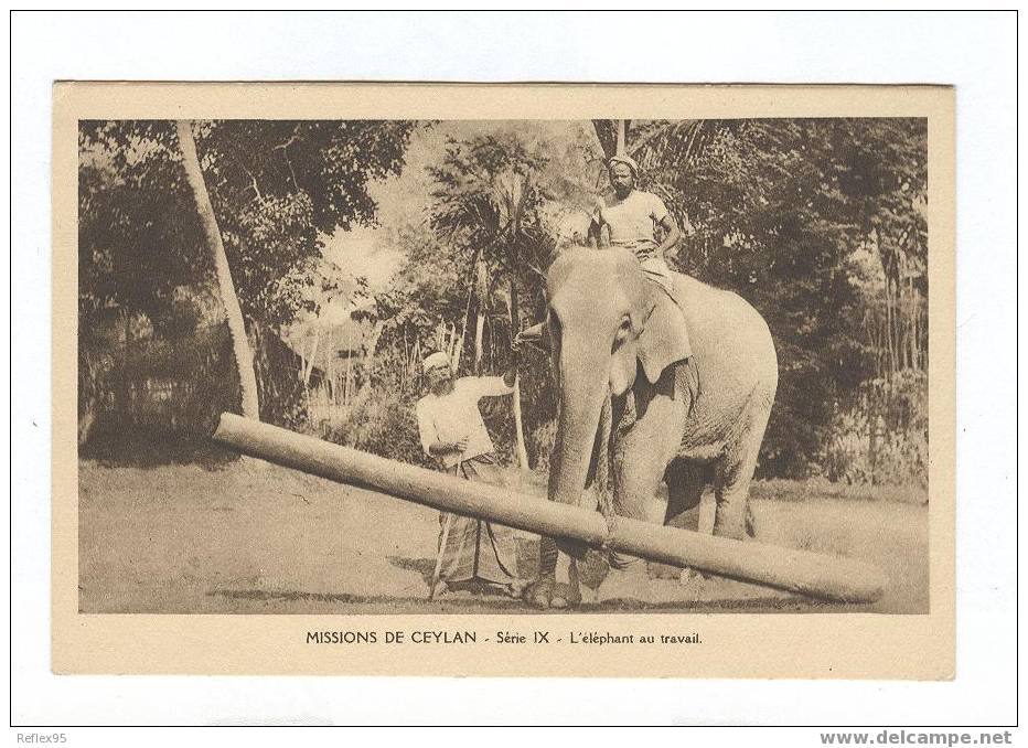 ELEPHANT Au Travail - Missions De Ceylan - Elefanti