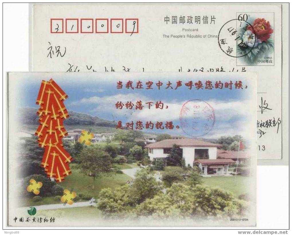 China 2001 Hangzhou Tea Museum Advertising Postal Stationery Card - Andere & Zonder Classificatie