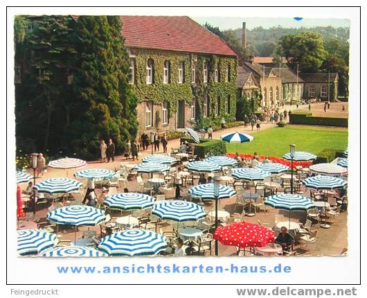 D 3472 - (Krs. Höxter) - Bad Driburg. Kurhaus Café - CAk - Bad Driburg